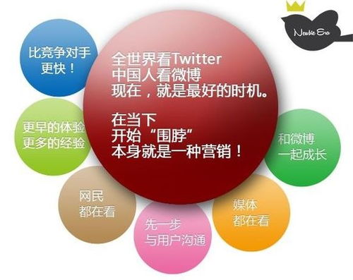 菜鳥(niǎo)時(shí)代 互聯(lián)網(wǎng)世界中的網(wǎng)絡(luò)品牌營(yíng)銷與銷售新解